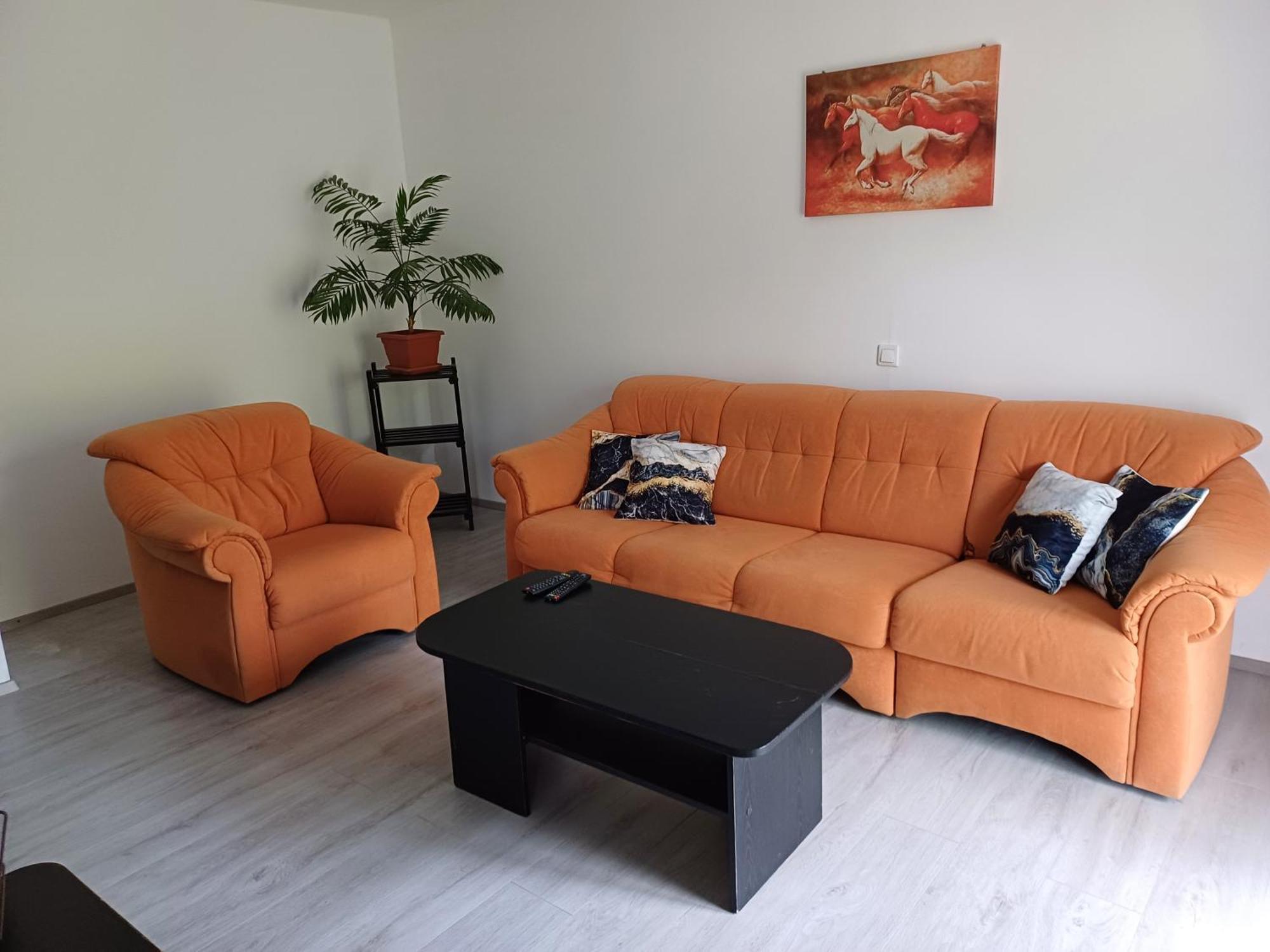 Apartma Ginga Osilnica Extérieur photo